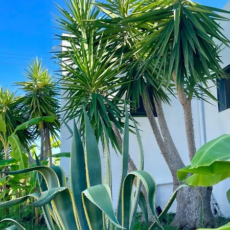 Soulbreeze Kos, Haus 4