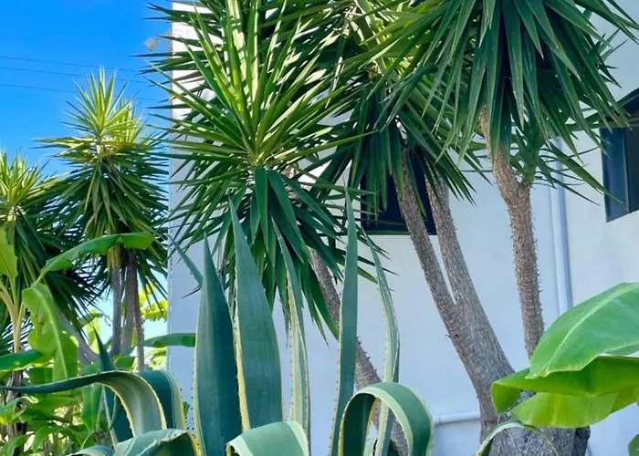 Soulbreeze Kos, Haus 4