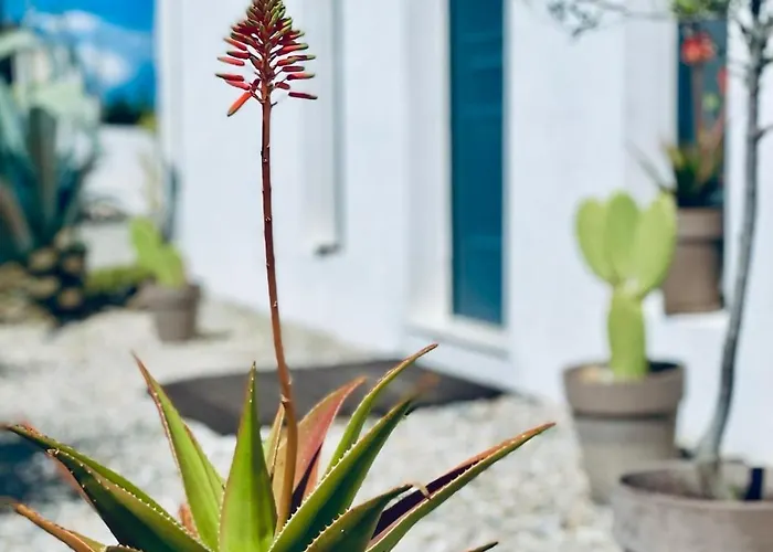 Daire Soulbreeze Kos, Haus 4 *