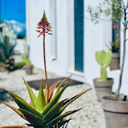 Апартаменты Soulbreeze Kos, Haus 4 *