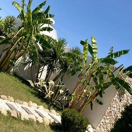 Soulbreeze Kos, Haus 4 Platanion